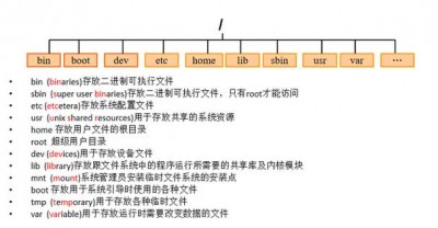 如何在Linux中查找文件或目录