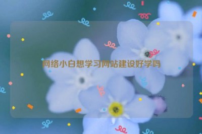 网络小白想学习网站建设好学吗