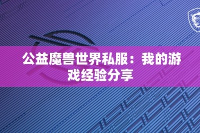 公益魔兽世界私服：我的游戏经验分享