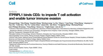 复旦团队Cell刊文：全新靶点CD3L1抗体将助力肿瘤治疗