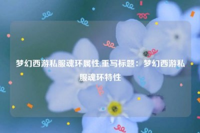 梦幻西游私服魂环属性,重写标题：梦幻西游私服魂环特性