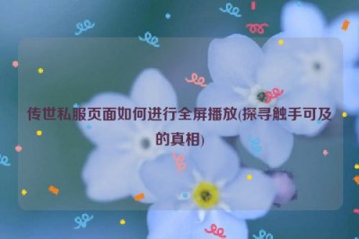 传世私服页面如何进行全屏播放(探寻触手可及的真相)