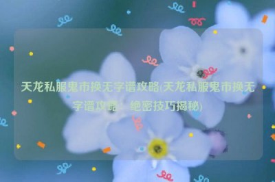 天龙私服鬼市换无字谱攻略(天龙私服鬼市换无字谱攻略：绝密技巧揭秘)