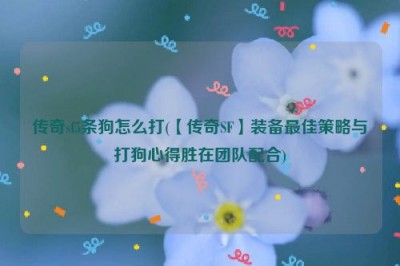 传奇sf5条狗怎么打(【传奇SF】装备最佳策略与打狗心得胜在团队配合)