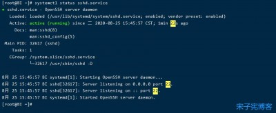 如何查看debian是否启动了ssh服务