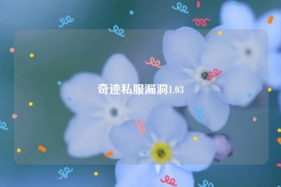 奇迹私服漏洞1.03