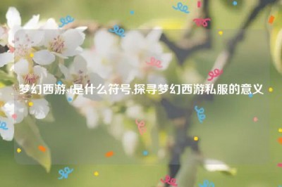 梦幻西游sf是什么符号,探寻梦幻西游私服的意义