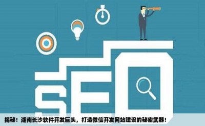 揭秘！湖南长沙软件开发巨头，打造微信开发网站建设的秘密武器！