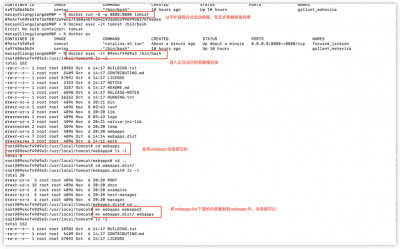 docker如何查看镜像文件目录