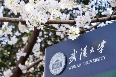 武汉大学开设「雷军班」，100% 保研资格