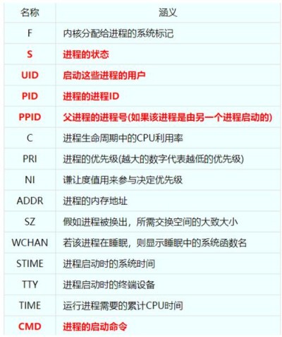 如何在Linux中查看进程信息和管理进程