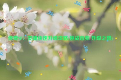 传奇SF：灵魂快速升级攻略(挑战自我 升级之路)