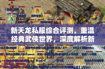 新天龙私服综合评测，重温经典武侠世界，深度解析新手入门至高阶玩法