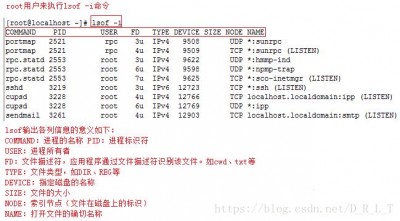 Linux如何查看端口号对应的进程