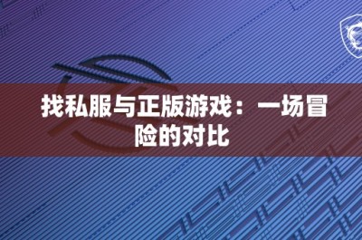 找私服与正版游戏：一场冒险的对比