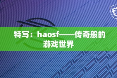 特写：haosf——传奇般的游戏世界