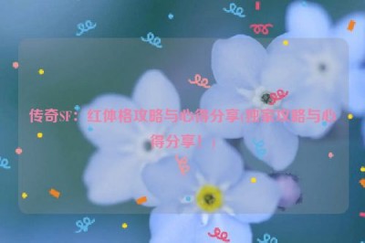 传奇SF：红体格攻略与心得分享(独家攻略与心得分享！)