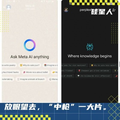 Perplexity认为Google、Meta、马斯克和整个世界都在抄袭它