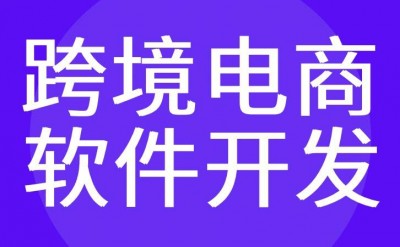 电商平台定制开发找哪家公司