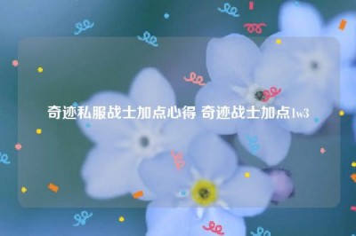 奇迹私服战士加点心得 奇迹战士加点1w3