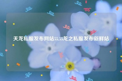 天龙私服发布网站55,55龙之私服发布新鲜站