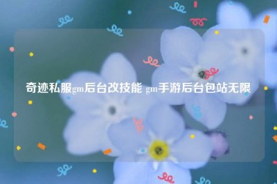 奇迹私服gm后台改技能 gm手游后台包站无限