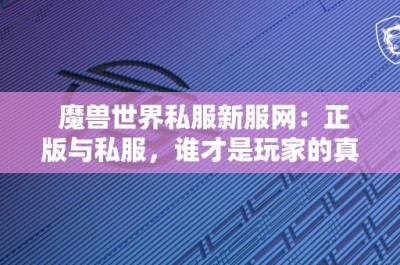 魔兽世界私服新服网：正版与私服，谁才是玩家的真爱？