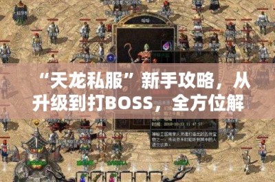 “天龙私服”新手攻略，从升级到打BOSS，全方位解析游戏技巧与职业选择