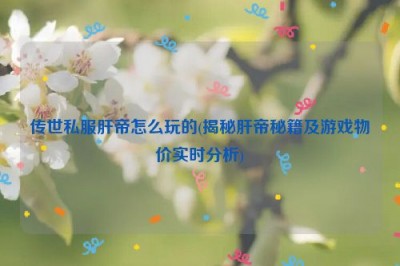 传世私服肝帝怎么玩的(揭秘肝帝秘籍及游戏物价实时分析)