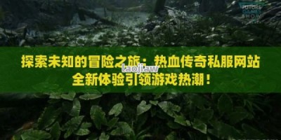 探索未知的冒险之旅：热血传奇私服网站全新体验引领游戏热潮！