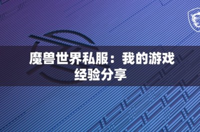 魔兽世界私服：我的游戏经验分享