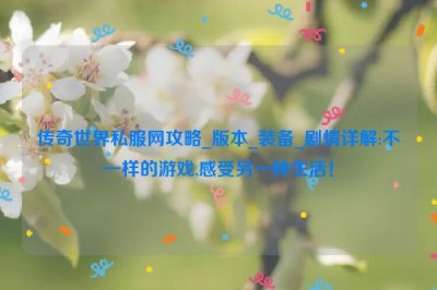 传奇世界私服网攻略_版本_装备_剧情详解:不一样的游戏,感受另一种生活！