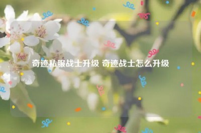 奇迹私服战士升级 奇迹战士怎么升级