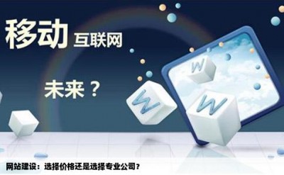 网站建设：选择价格还是选择专业公司？