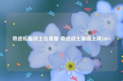 奇迹私服战士出血量 奇迹战士暴血上限180%