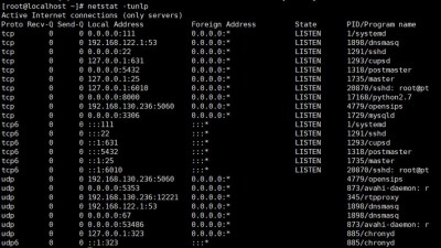 linux如何查看哪个串口已连接