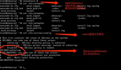 Linux系统上怎么进行远程连接和管理