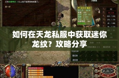 如何在天龙私服中获取迷你龙纹？攻略分享