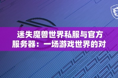 迷失魔兽世界私服与官方服务器：一场游戏世界的对比之旅