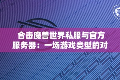 合击魔兽世界私服与官方服务器：一场游戏类型的对比