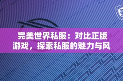 完美世界私服：对比正版游戏，探索私服的魅力与风险