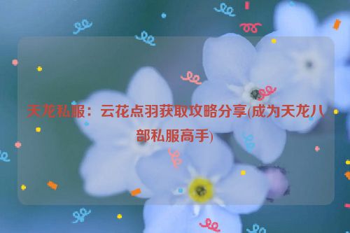 天龙私服：云花点羽获取攻略分享(成为天龙八部私服高手)