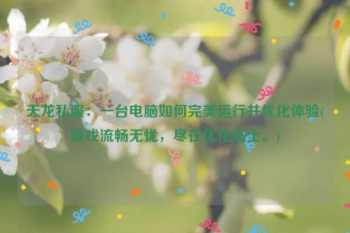 天龙私服：一台电脑如何完美运行并优化体验(游戏流畅无忧，尽在优化贴士。)