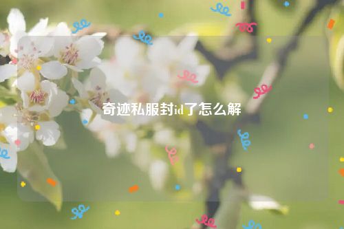 奇迹私服封id了怎么解