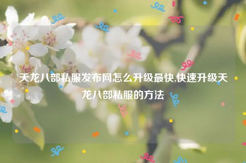 天龙八部私服发布网怎么升级最快,快速升级天龙八部私服的方法