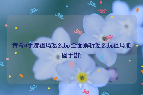 传奇sf手游祖玛怎么玩(全面解析怎么玩祖玛地图手游)