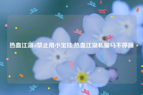 热血江湖sf禁止用小宝挂,热血江湖私服马不停蹄