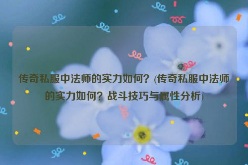 传奇私服中法师的实力如何？(传奇私服中法师的实力如何？战斗技巧与属性分析)