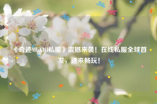 《奇迹MUXIII私服》震撼来袭！在线私服全球首发，速来畅玩！