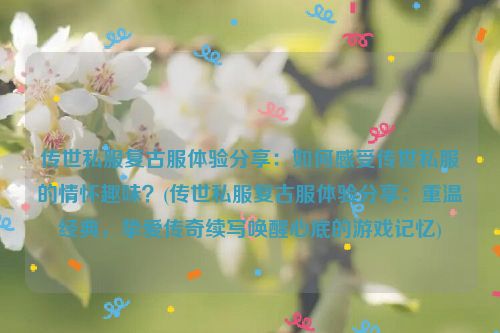 传世私服复古服体验分享：如何感受传世私服的情怀趣味？(传世私服复古服体验分享：重温经典，挚爱传奇续写唤醒心底的游戏记忆)